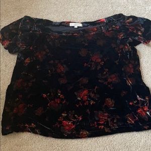 Velvet top